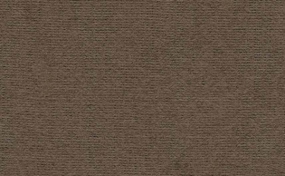 Бумага для пастели "Палаццо" 21x29,7 см 160 г корица