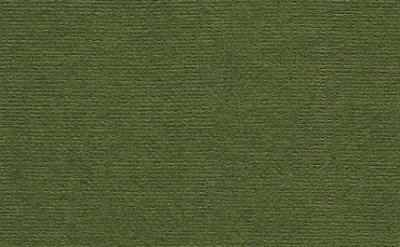 Бумага для пастели "Палаццо" 21x29,7 см 160 г темные джунгли