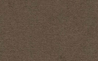 Бумага для пастели "Палаццо" 21x29,7 см 160 г пепельный