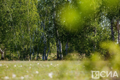 Три проекта студентов и сотрудников СВФУ поддержала Росмолодежь / ЯСИА   