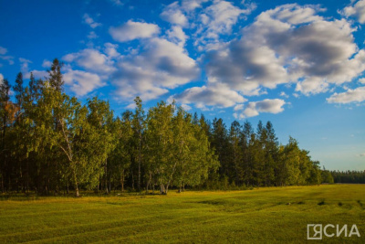 В Николин день в Якутском музее отметят День сайылыка / Алина Мурукова Якутск Якутск Республика Саха (Якутия)
