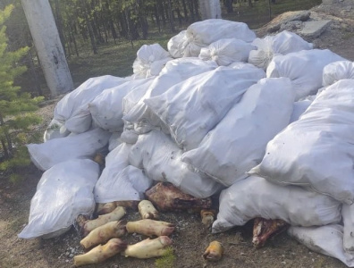 Свалку свиных ног и лошадиных голов обнаружили в Якутске / Николай Борисов Якутск Якутск Республика Саха (Якутия)