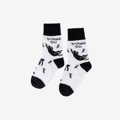 Носки "Эрмитажные коты" 38-41