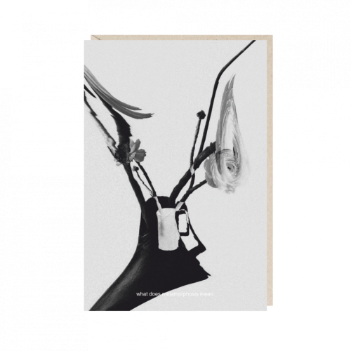 Открытка "what does metamorphosis..."