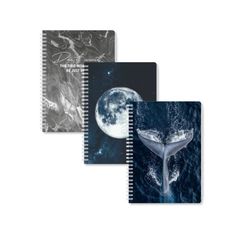 Планер день Remarklee "No risk, no magic" MyPPlanner А5