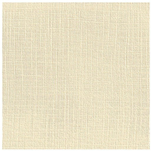 Бумага карточная тисненая Лилия Холдинг "Лен палевый" 260 г А4