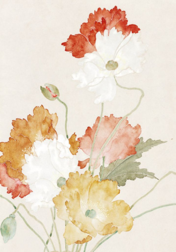 Тетрадь Сумерки. Полевые цветы 1