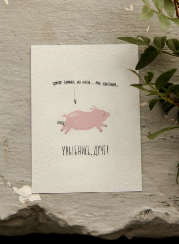 Открытка Yetti Свинка