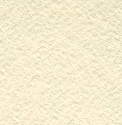 Бумага для акварели Лилия Холдинг лист 200 г Слоновая кость А3