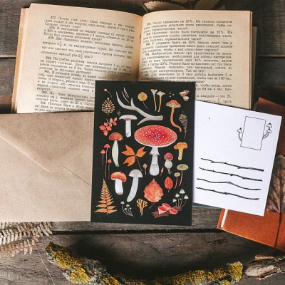 Открытка Дворникова А. "Лесные находки" тёмная