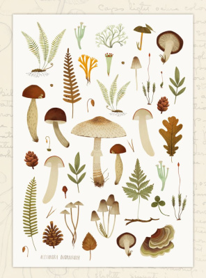 Стикеры Дворникова А. "Грибы и растения"