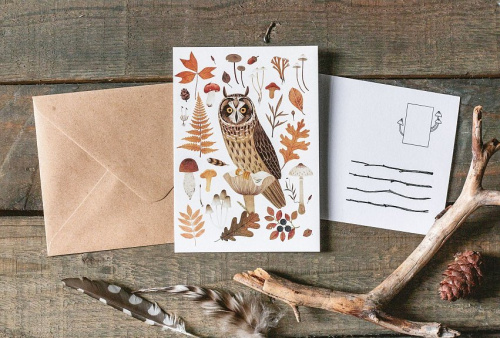 Открытка Дворникова А. "Ушастая сова" светлая