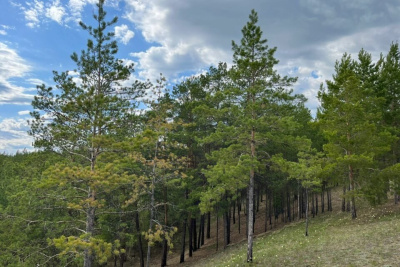 Три природных пожара потушили в Якутии / ЯСИА   Республика Саха (Якутия)
