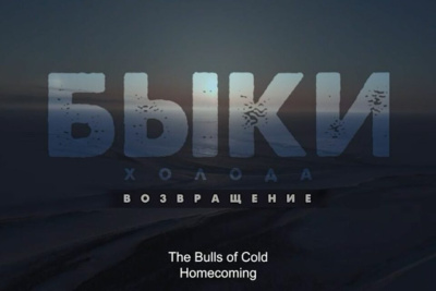 Документальный фильм об овцебыках и бизонах показали в Якутске / Алина Мурукова Якутск Якутск Республика Саха (Якутия)