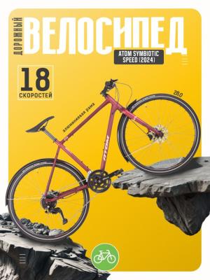 Дорожный велосипед Atom Symbiotic Speed, год 2024, цвет Красный, ростовка 18.5