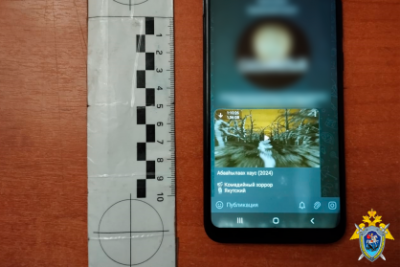 В Чурапчинском районе вынесен приговор по делу о нарушении авторских прав на фильмы /    