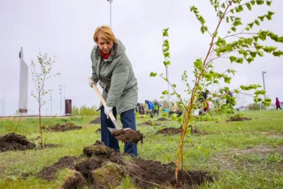 Саженцы ели и берёзы посадили в Парке Победы Якутска / ЯСИА   