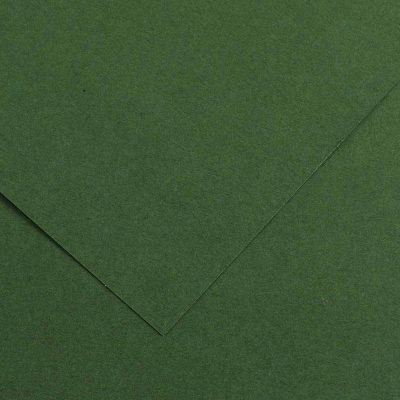 ?Бумага тонированная Canson "Iris Vivaldi" 50х70 см 120 г №31 темно-зеленый