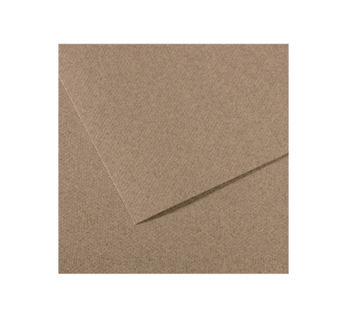 Бумага для пастели Canson "MI-TEINTES" 50x65 см 160 г №431 серый с разводами