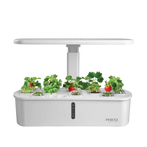 Умный сад RED SOLUTION G12