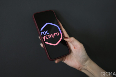 На «Госуслугах» появилась платформа для подтверждения IT-навыков / ЯСИА   