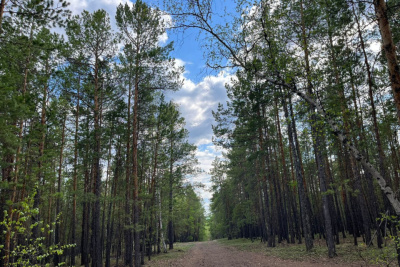 Скорость обнаружения пожаров в Якутии выросла вдвое благодаря новым технологиям / ЯСИА   Республика Саха (Якутия)