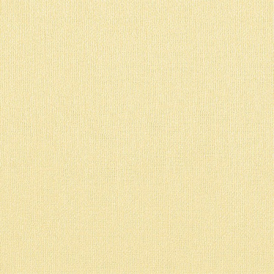 Бумага для пастели "Палаццо" 50x70 см 160 г песочный