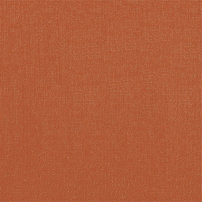 Бумага для пастели "Палаццо" 50x70 см 160 г терракотовый