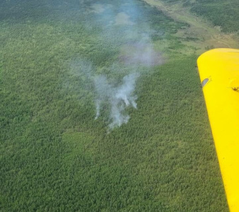 Обнаружен лесной пожар в Амгинском районе / ЯСИА   