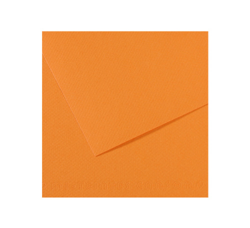 Бумага для пастели Canson "MI-TEINTES" 50x65 см 160 г №384 буйволовая кожа