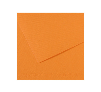 Бумага для пастели Canson "MI-TEINTES" 50x65 см 160 г №384 буйволовая кожа