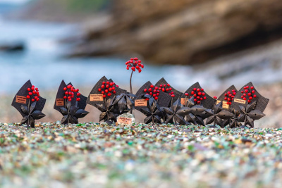 Журналисты ЯСИА стали победителями в экологическом конкурсе «Живая тайга» по Дальнему Востоку / ЯСИА   