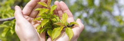 5 июня — День эколога! /    