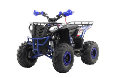 Квадроцикл MOTAX Grizlik A125