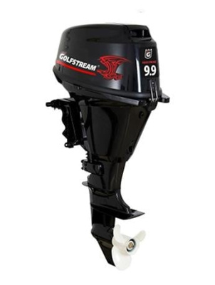 4х-тактный лодочный мотор GOLFSTREAM F 9.9AFWS-EFI Enduro