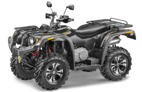 Квадроцикл СТЕЛС ATV 600 YS Leopard