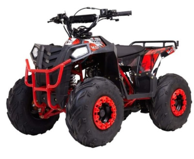 Квадроцикл RAPTOR Dux Lux 8