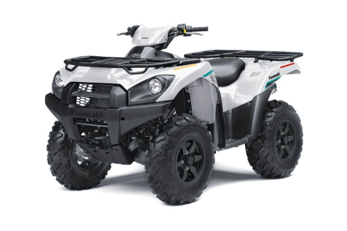 Квадроцикл KAWASAKI Brute Force 750 4x4i EPS (2023) (ПСМ)