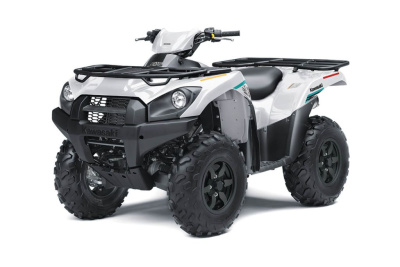 Квадроцикл KAWASAKI Brute Force 750 4x4i EPS (2023) (ПСМ)