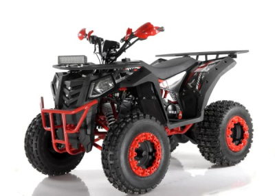 Квадроцикл WELS ATV Thunder 200 Evo X