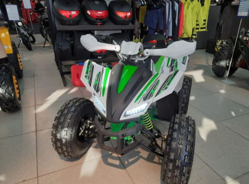 Квадроцикл MOTOLAND 125 COYOTE PRO (2023) Б/У