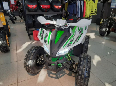 Квадроцикл MOTOLAND 125 COYOTE PRO (2023) Б/У