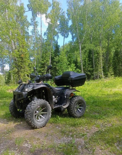 Квадроцикл GRIZZLY 250 Б/У