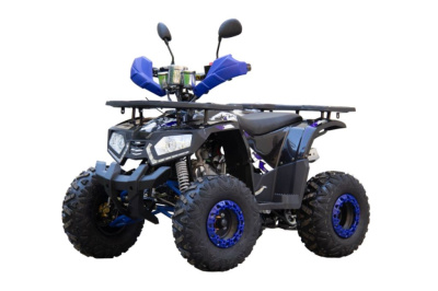 Квадроцикл UNIVERSAL ATV 125 TM Fusion plus