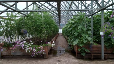 Ассоциация строителей АЯМ: 8 лет подъема сельского хозяйства в Алданском районе /  Алдан Алданский Республика Саха (Якутия)