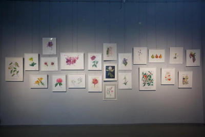 В Якутске стартовал Фестиваль знаний «Зимний сад – Winter@Garden» / Андрей Никифоров Якутск Якутск Республика Саха (Якутия)