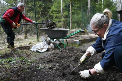 Дачники будут платить повышенные налоги при использовании земли не по назначению / ЯСИА   