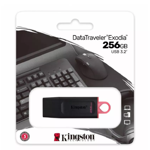 USB Flash Drive Kingston Technology 256 ГБ Data Travler Exodia 256Gb, черно-розовый