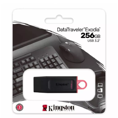 USB Flash Drive Kingston Technology 256 ГБ Data Travler Exodia 256Gb, черно-розовый