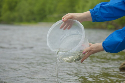 Нефтяники выпустят в реки Якутии мальков редкого ленского осетра / ЯСИА   